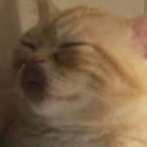 Meet your Posher, Dusty